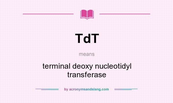 What does TdT mean? It stands for terminal deoxy nucleotidyl transferase