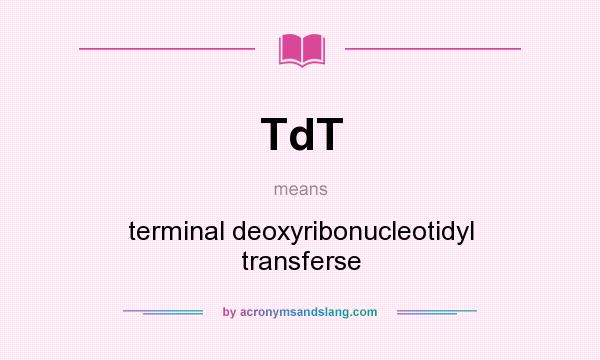 What does TdT mean? It stands for terminal deoxyribonucleotidyl transferse