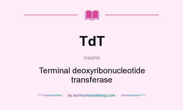 What does TdT mean? It stands for Terminal deoxyribonucleotide transferase
