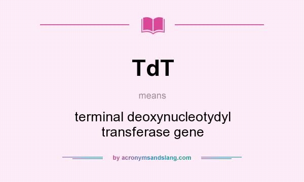 What does TdT mean? It stands for terminal deoxynucleotydyl transferase gene