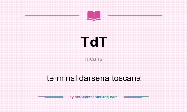 What does TdT mean? It stands for terminal darsena toscana