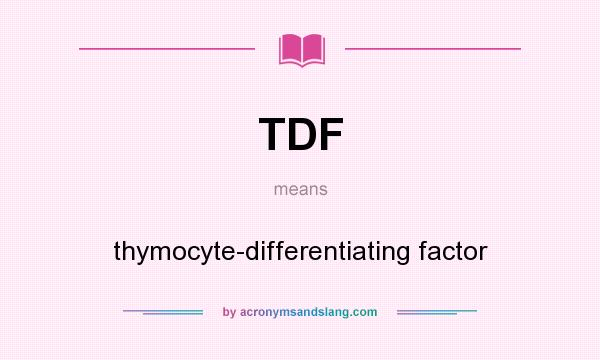 What does TDF mean? It stands for thymocyte-differentiating factor