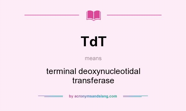 What does TdT mean? It stands for terminal deoxynucleotidal transferase