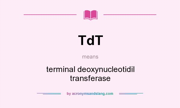 What does TdT mean? It stands for terminal deoxynucleotidil transferase