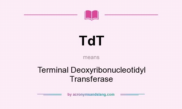 What does TdT mean? It stands for Terminal Deoxyribonucleotidyl Transferase