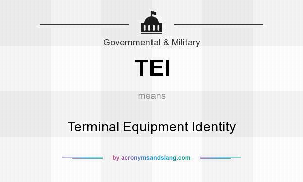 What does TEI mean? It stands for Terminal Equipment Identity
