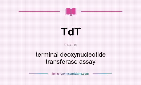 What does TdT mean? It stands for terminal deoxynucleotide transferase assay