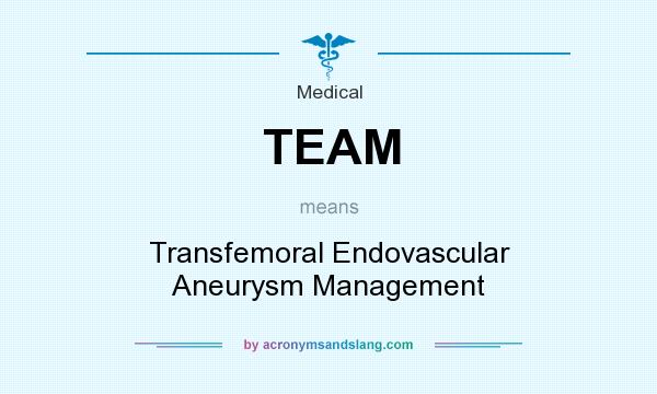 What does TEAM mean? It stands for Transfemoral Endovascular Aneurysm Management
