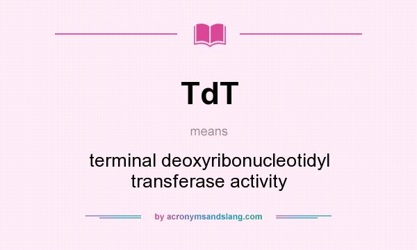 What does TdT mean? It stands for terminal deoxyribonucleotidyl transferase activity
