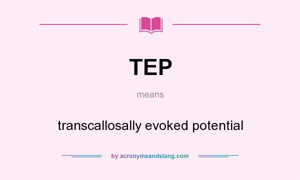 What does TEP mean? It stands for transcallosally evoked potential