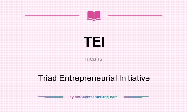 What does TEI mean? It stands for Triad Entrepreneurial Initiative