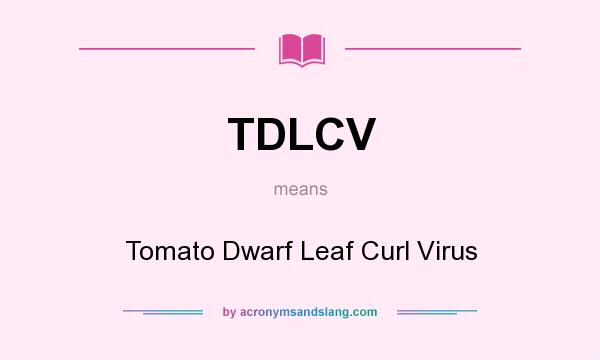 What does TDLCV mean? It stands for Tomato Dwarf Leaf Curl Virus