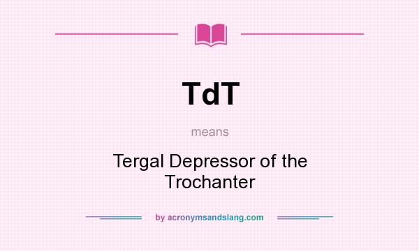 What does TdT mean? It stands for Tergal Depressor of the Trochanter