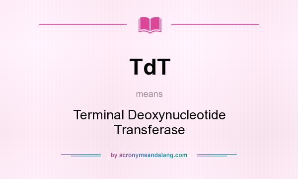 What does TdT mean? It stands for Terminal Deoxynucleotide Transferase