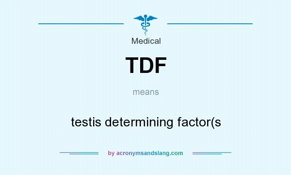 What does TDF mean? It stands for testis determining factor(s