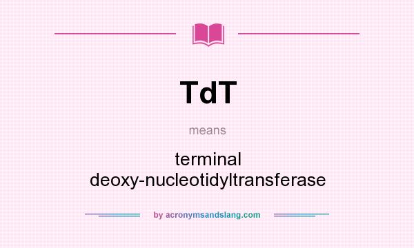 What does TdT mean? It stands for terminal deoxy-nucleotidyltransferase