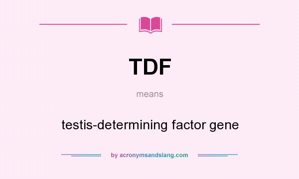 What does TDF mean? It stands for testis-determining factor gene