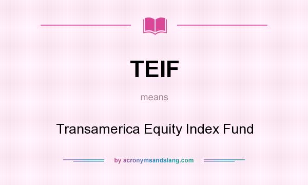 What does TEIF mean? It stands for Transamerica Equity Index Fund