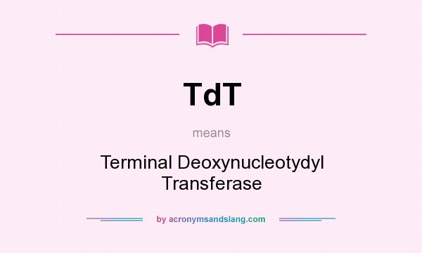 What does TdT mean? It stands for Terminal Deoxynucleotydyl Transferase