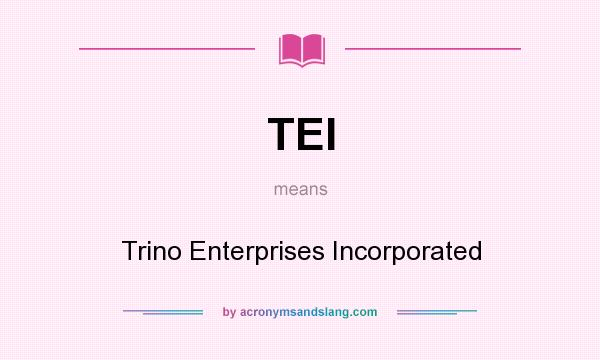 What does TEI mean? It stands for Trino Enterprises Incorporated