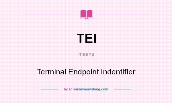 What does TEI mean? It stands for Terminal Endpoint Indentifier