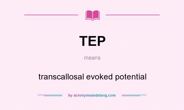 What does TEP mean? It stands for transcallosal evoked potential