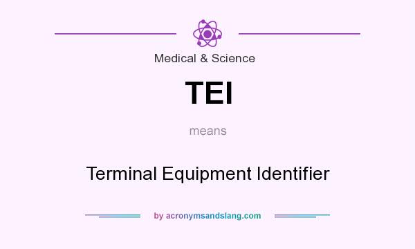 What does TEI mean? It stands for Terminal Equipment Identifier