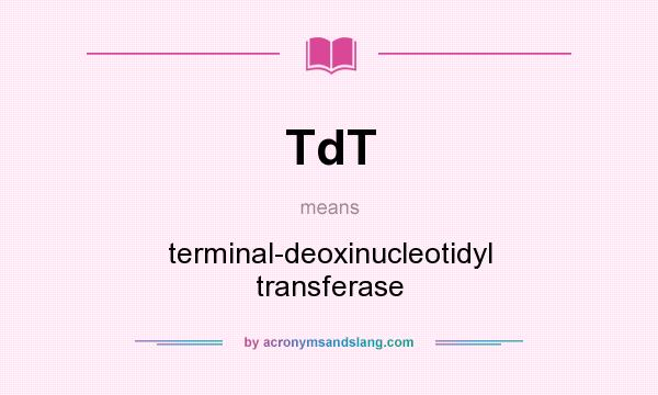 What does TdT mean? It stands for terminal-deoxinucleotidyl transferase