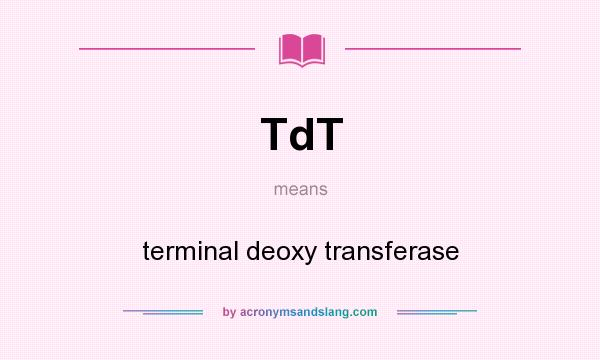 What does TdT mean? It stands for terminal deoxy transferase