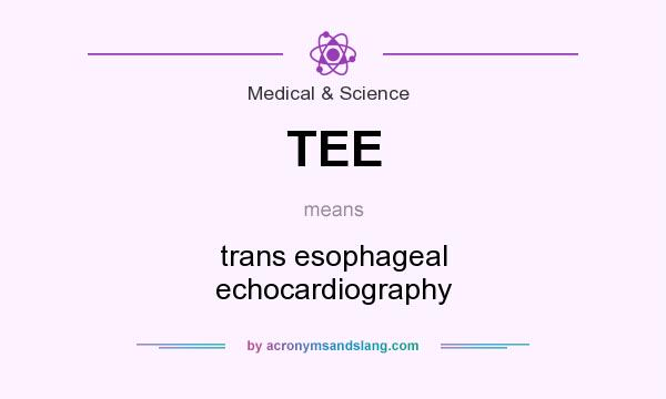 What does TEE mean? It stands for trans esophageal echocardiography