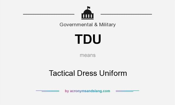 What does TDU mean? It stands for Tactical Dress Uniform