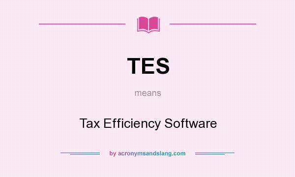 What does TES mean? It stands for Tax Efficiency Software