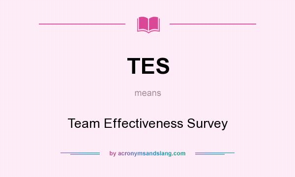 What does TES mean? It stands for Team Effectiveness Survey