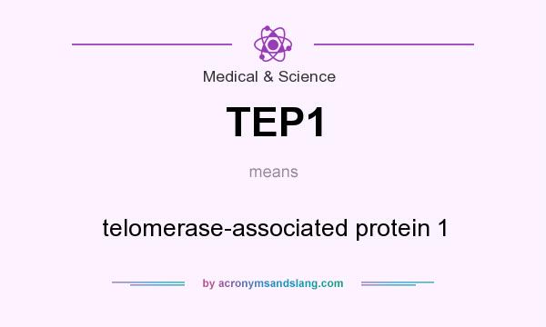 What does TEP1 mean? It stands for telomerase-associated protein 1