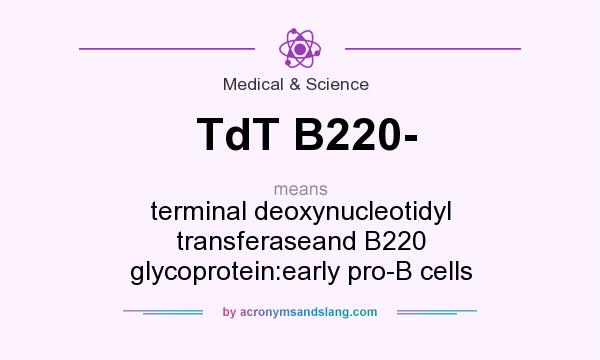 What does TdT B220- mean? It stands for terminal deoxynucleotidyl transferaseand B220 glycoprotein:early pro-B cells