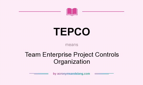 What does TEPCO mean? It stands for Team Enterprise Project Controls Organization