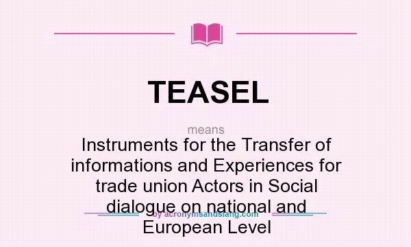What does TEASEL mean? It stands for Instruments for the Transfer of informations and Experiences for trade union Actors in Social dialogue on national and European Level