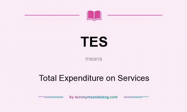 What does TES mean? It stands for Total Expenditure on Services