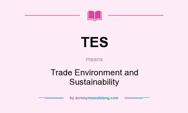 What does TES mean? It stands for Trade Environment and Sustainability