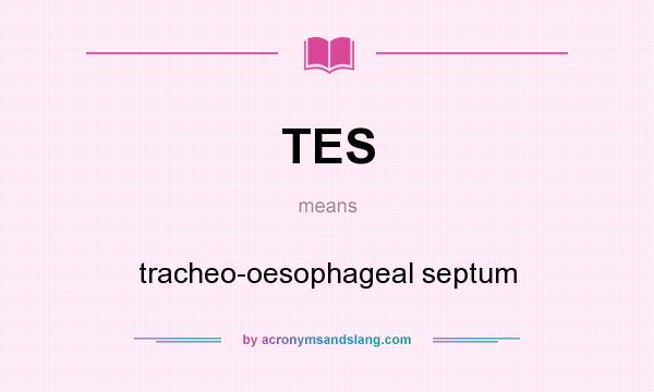 What does TES mean? It stands for tracheo-oesophageal septum