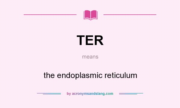 What does TER mean? It stands for the endoplasmic reticulum