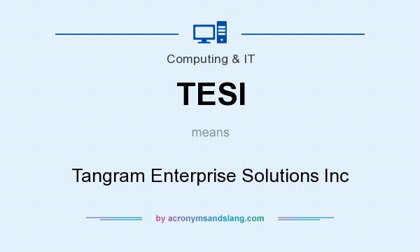 What does TESI mean? It stands for Tangram Enterprise Solutions Inc