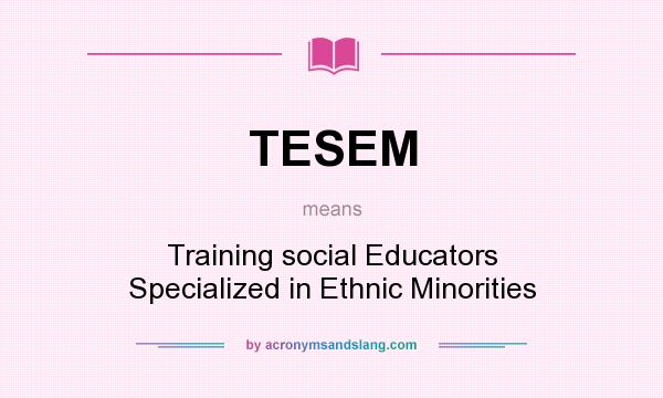 What does TESEM mean? It stands for Training social Educators Specialized in Ethnic Minorities