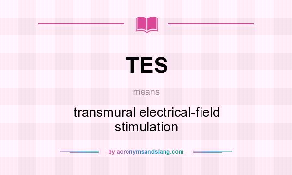 What does TES mean? It stands for transmural electrical-field stimulation
