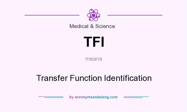 What does TFI mean? It stands for Transfer Function Identification