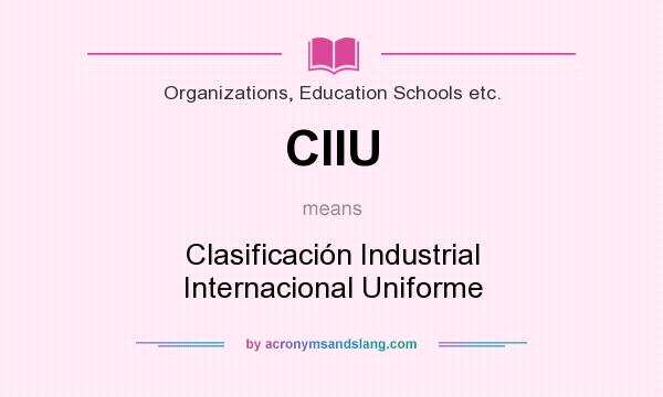What does CIIU mean? It stands for Clasificación Industrial Internacional Uniforme