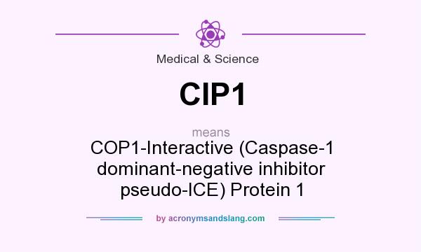 What does CIP1 mean? It stands for COP1-Interactive (Caspase-1 dominant-negative inhibitor pseudo-ICE) Protein 1