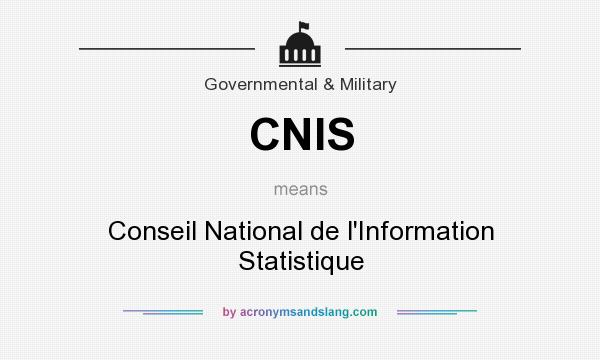 What does CNIS mean? It stands for Conseil National de l`Information Statistique