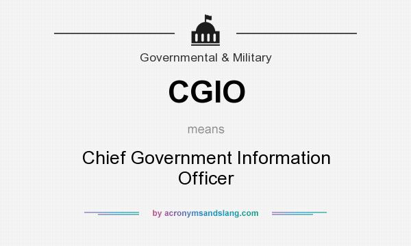 What does CGIO mean? It stands for Chief Government Information Officer