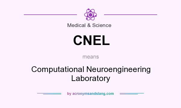 What does CNEL mean? It stands for Computational Neuroengineering Laboratory